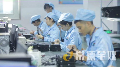 桃源培優(yōu)“兩主兩特”產業(yè)，以信息技術咨詢服務助力挺進全省十強縣